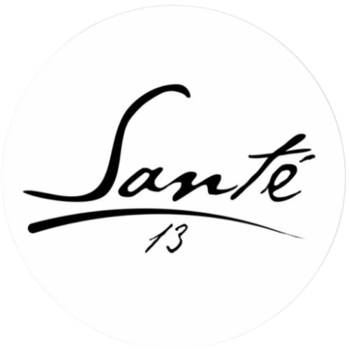 Santé 13